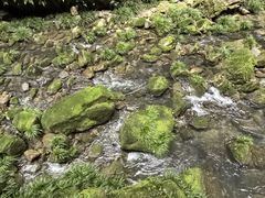 -龙水峡地缝景区
