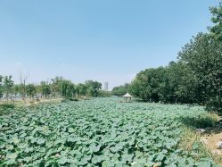 -玄武湖景区-情侣园游乐场