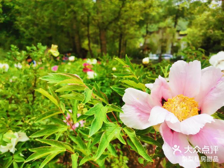 大缸生态园～-大众点评