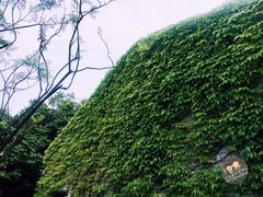 -黄祥华养生堂·炖汤·营养蒸饭(岭南天地店)