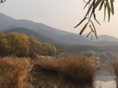 -十三陵山水雅园农家院