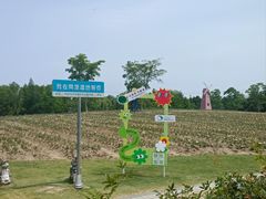 -同里国家湿地公园