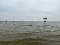 -碧海金沙