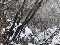 -妙峰山风景名胜区