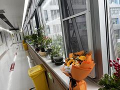 -首都医科大学附属北京地坛医院