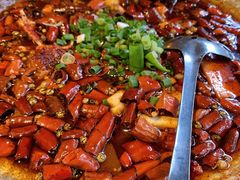 -青城甲(青城山店)