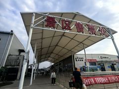 -白洋淀景区