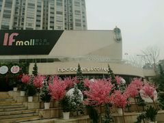 -麦当劳(塔园路店)