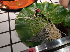 -朱光玉火锅馆(正弘城店)