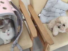 -瑞派康怡24h宠物医院·犬猫医疗中心·微创绝育(瑞景分院)