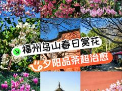 -乌山风景区