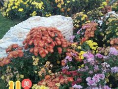 -武清南湖绿博园