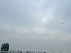 -汉长安城未央宫国家考古遗址公园