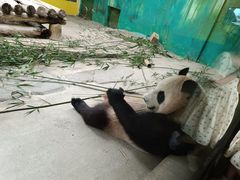 -杭州野生动物世界