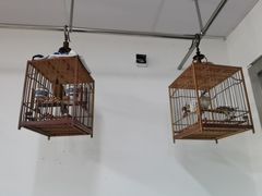 -苏州艺都古玩花鸟市场