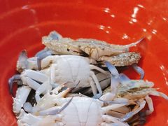 -天骄国际酒店·布拉格西餐厅(白石湖店)