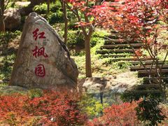 -广州市帽峰山景区