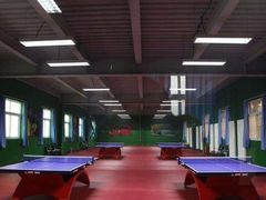 -火星羽毛球游泳乒乓球网球篮球台球滑板轮滑(踏水桥北街店)