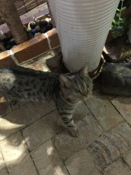 -如果 · 形象 个人整体形象设计工作室