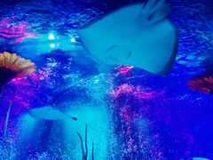 -沈阳海洋探索中心