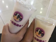 -一只酸奶牛(来福士店)