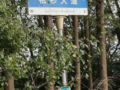 -上海长兴岛郊野公园