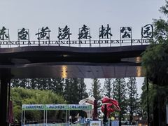 -黄海国家森林公园