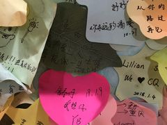 -大王油茶(二厂文创公园店)
