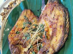 -志晖园圆子鸡·辣子鸡(阳光店)