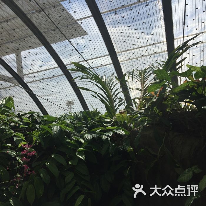 蝴蝶园图片-北京更多景点玩乐-大众点评网