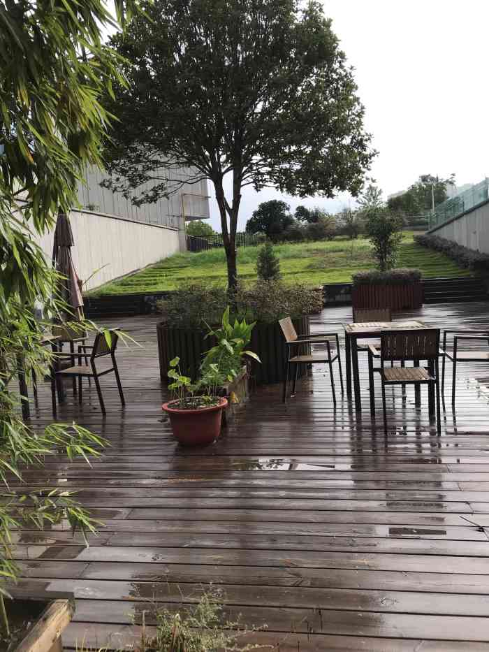 青禾餐厅(华侨城生态园店)-"听朋友说这家餐厅环境优雅,今天约几个