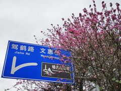 -柳侯公园