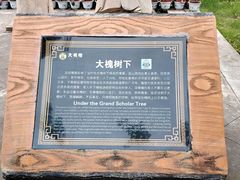 -大槐树寻根祭祖园