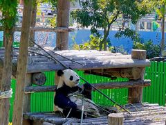 -西霞口神雕山野生动物世界