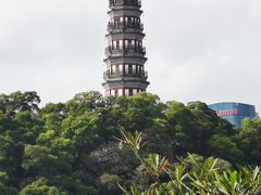 -顺峰山公园