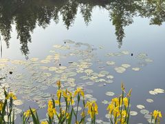 -白鹭湾湿地公园