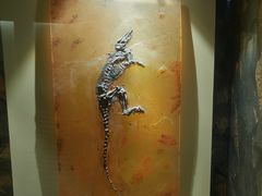 -辽宁古生物博物馆