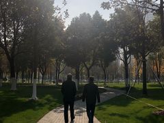 -西北湖绿化广场