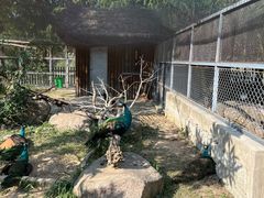 -上方山森林动物世界