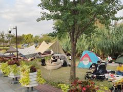 -上海山野camping·户外天幕烧烤·团建拓展营地