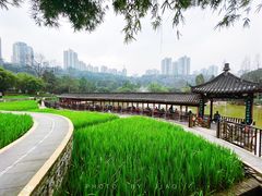 -龙头寺公园