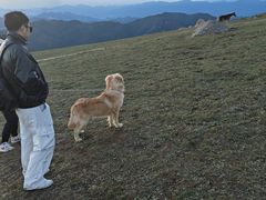 -灵山