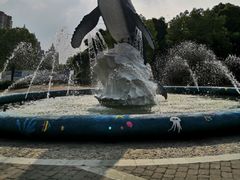 -海合安武汉极地海洋公园