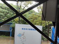 -广东惠东海龟国家级自然保护区