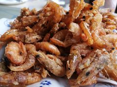 -双新垂钓园