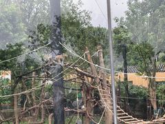 -武汉动物园