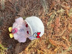 -白水寺森林公园