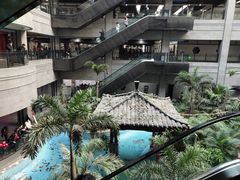 -黑龙江中医药大学附属第一医院