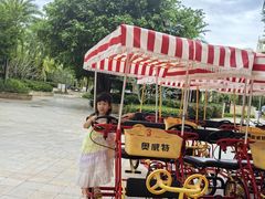 -三亚海棠湾喜来登度假酒店