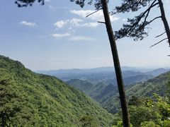 -东天目山风景区